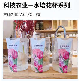 现货供应郁金香水培盆栽 郁金香水培种植杯 郁金香盆栽厂家直销