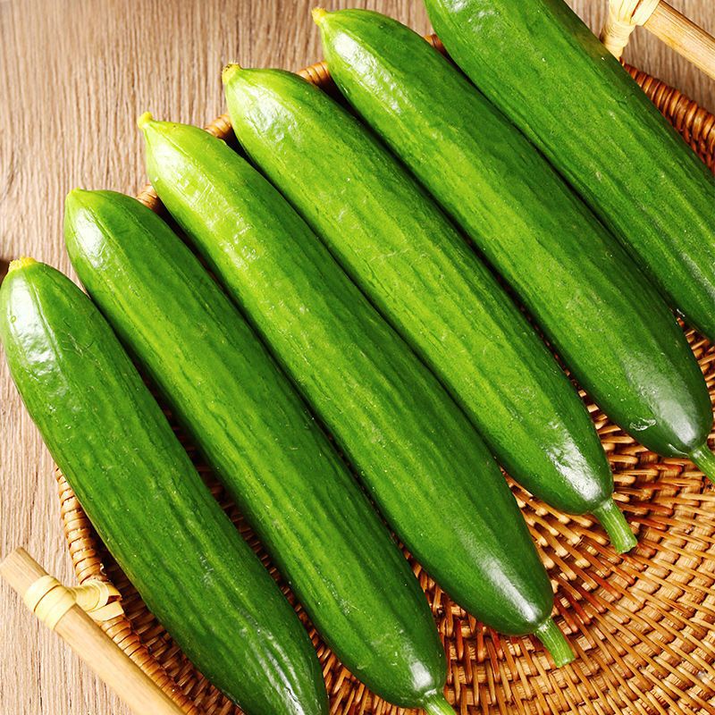 水果小黄瓜新鲜无刺小黄瓜1斤5斤脆甜小青瓜生吃当季蔬菜整箱批发