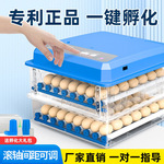 全自动孵化器小型家用型多层鸡蛋智能孵化箱芦丁鸡鹌鹑鸭鹅孵化箱