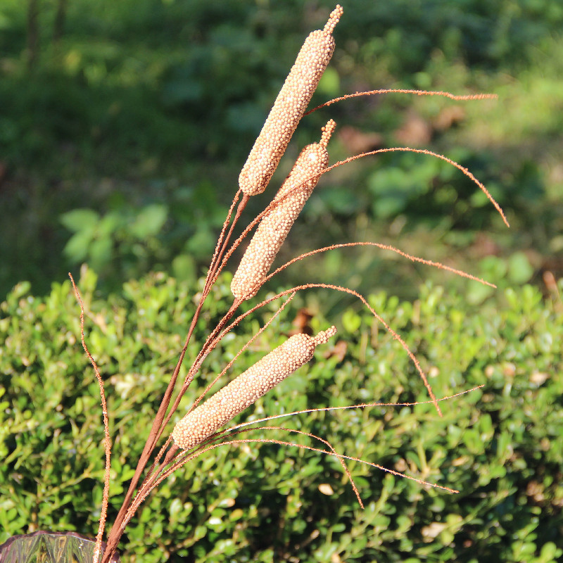 【金煜】厂家现货 诺凡蒲棒田园泡沫花假花 跨境家居装饰仿真pe花