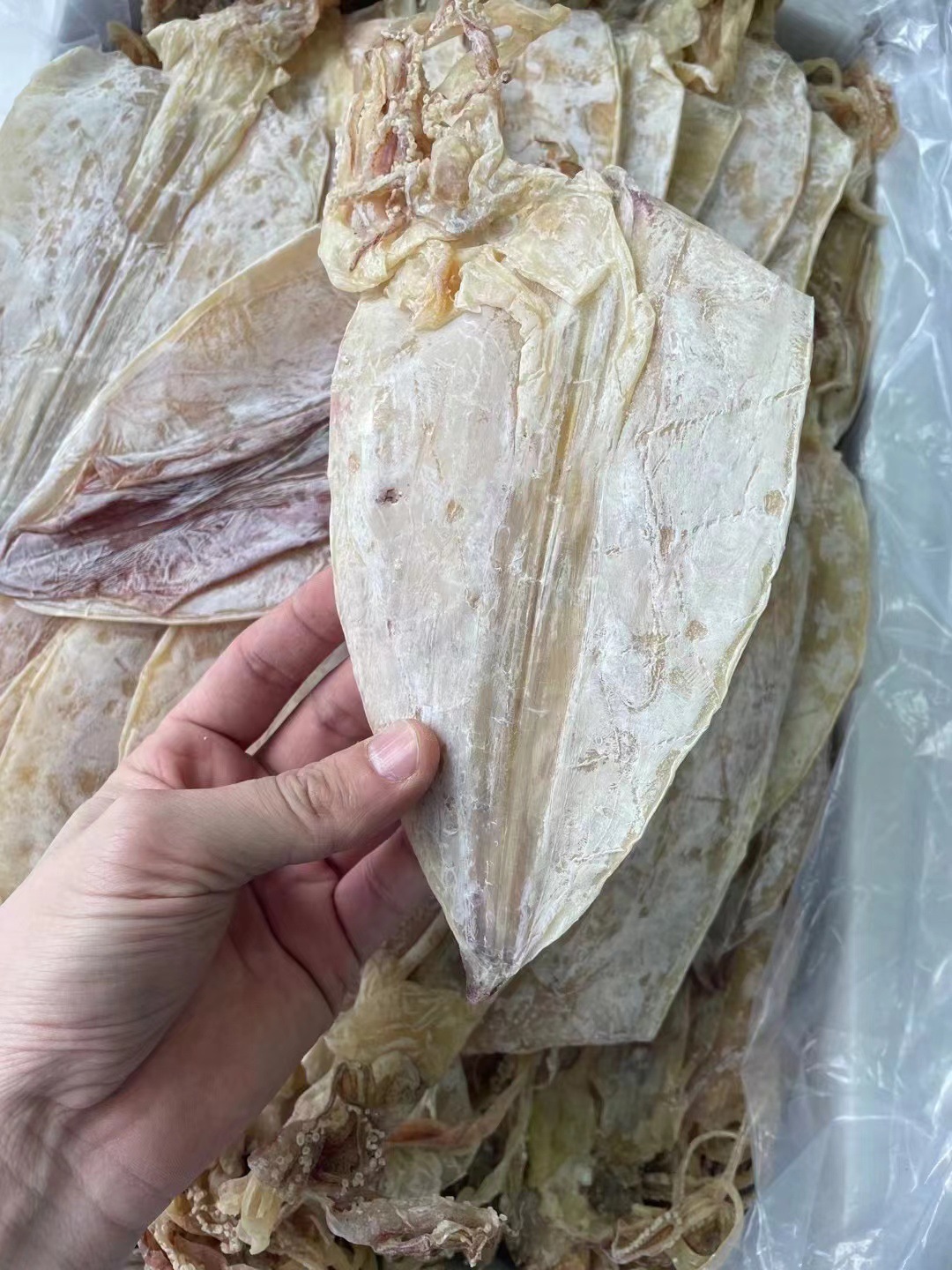 北海鱿鱼干批发a1号-5号手撕鱿鱼干烧烤鱿鱼干ktv尤鱼淡干鱿鱼干