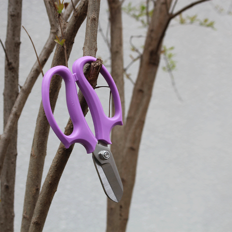 Factory Direct Sales Garden Shears Potted Pruning Gardening Scissors Household Flowers Scissors Pruning Tools