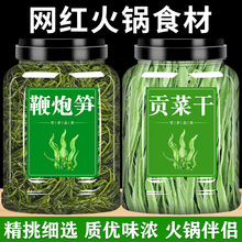 鞭炮笋新鲜海草盐渍长寿菜马尾藻海带羊栖菜火锅凉拌可搭配贡菜干