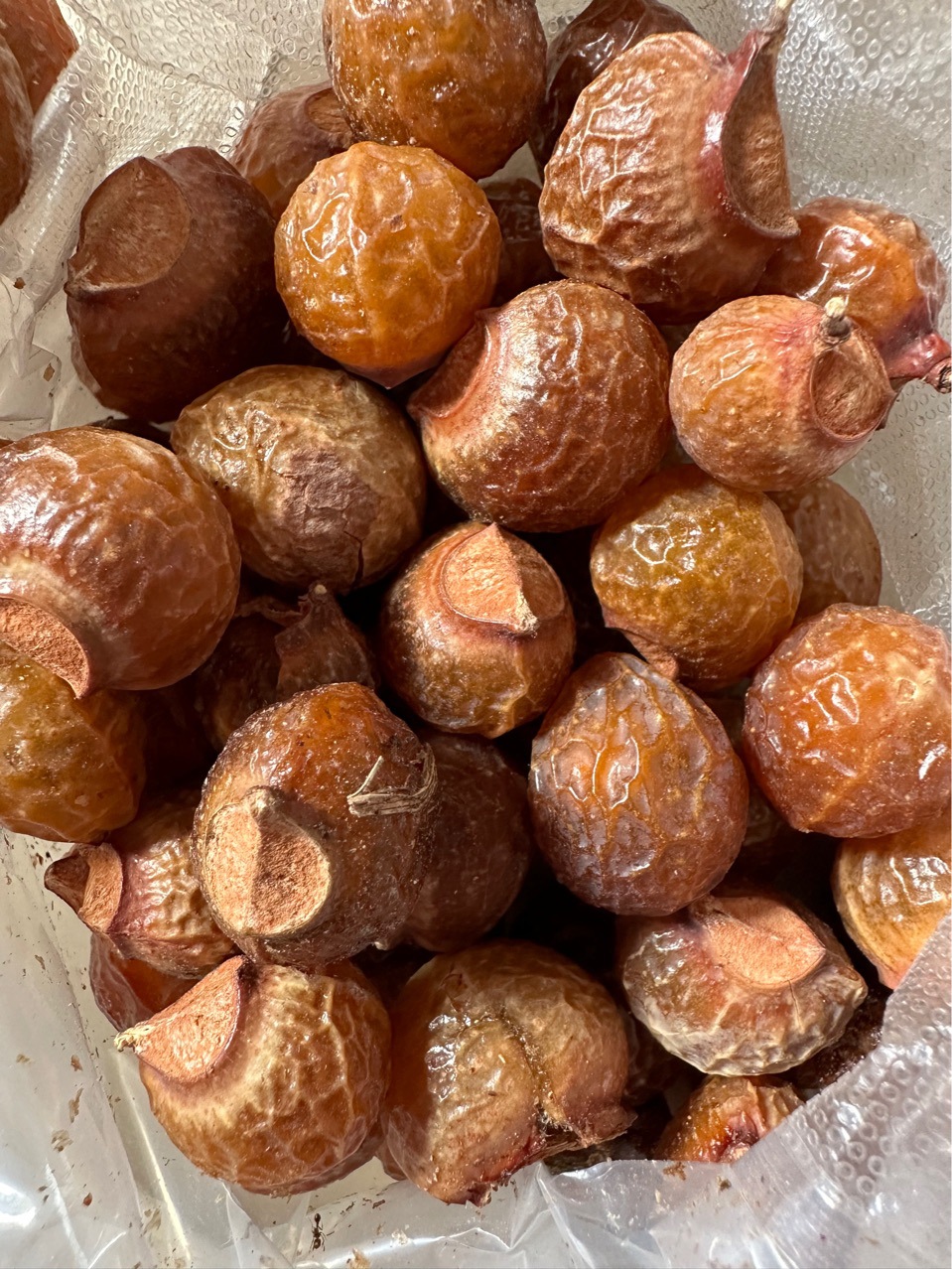 批发中药材无患籽 洗手果 苦患树 木患子 香患子 油患子 肥珠子