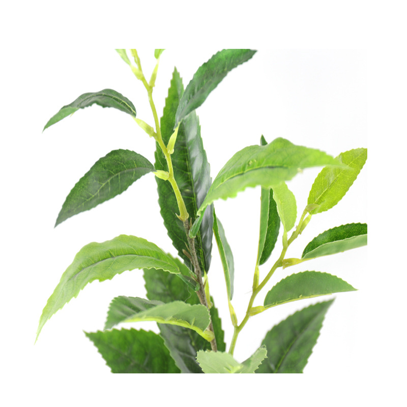 图商品描述名称福鼎大白茶叶分类半成品风格田园是否属于礼品否是否