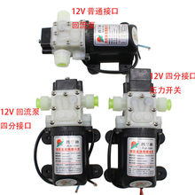 普兰迪压力开关泵智能泵12V45W自吸泵隔膜泵小水泵1206电源泵