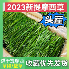 兔子草2023提摩西干草晒干烘干叶北提豚鼠猪饲料牧草兔粮一件代发