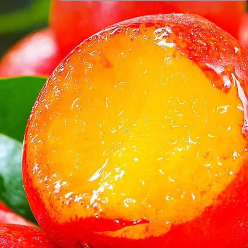 晓筱农场 智利粉红李珠宝李樱桃李子5斤 新鲜水果当季孕妇进口洋