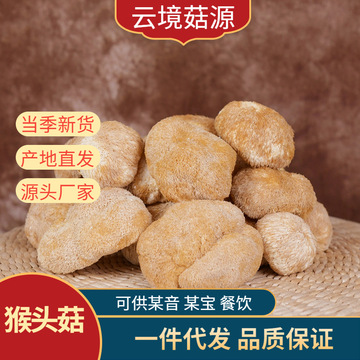 猴头菇干货云南特产猴头菇菌汤包猴头菌菇干货-阿里巴巴