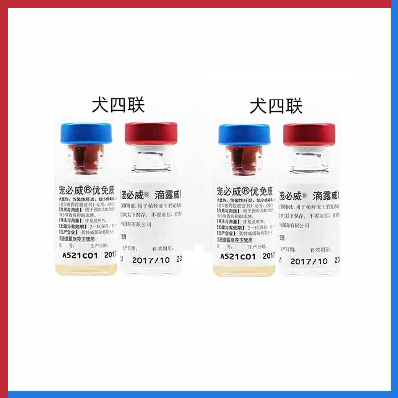 英特威犬四联疫苗卫佳伍狂犬预防犬瘟细小泰迪边牧贵宾荷兰-阿里巴巴