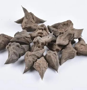 中药材鬼见愁菱角 黑菱角铁菱角鬼不缠一公斤包邮-阿里巴巴