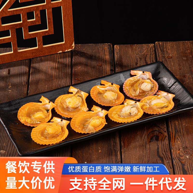 冷冻黄金贝扇贝特大半壳海鲜贝类商用自助餐烧烤食材新鲜带壳扇贝
