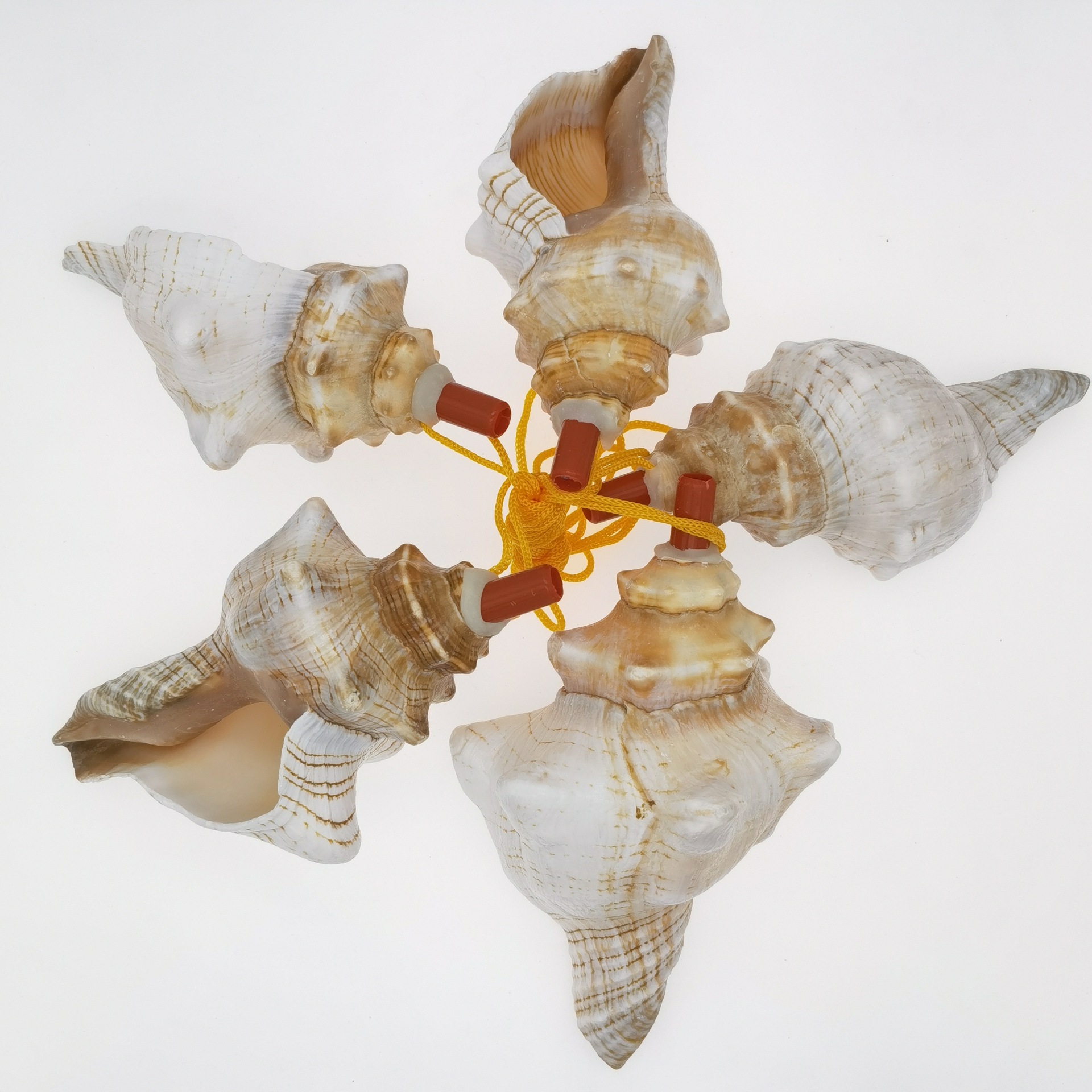 厂家现货贝壳海螺刺旋螺口哨装饰贝壳工艺品景区地推扫码用