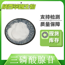 ATP 三磷酸腺苷99% 三磷酸腺苷二钠 现货包邮 量大价优