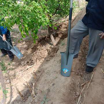 挖树铲子锰钢加厚铁锹树根挖树锹洛阳铲农用挖沟挖土园林工具