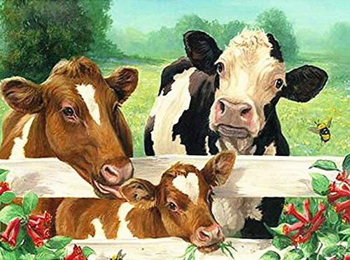 砖石贴画动物钻石画农场三头牛奶牛钻石画 diy