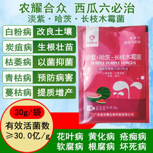 西瓜六必治叶面肥西瓜杀菌剂甜瓜病黄叶病蔓枯病枯萎病西瓜专用药