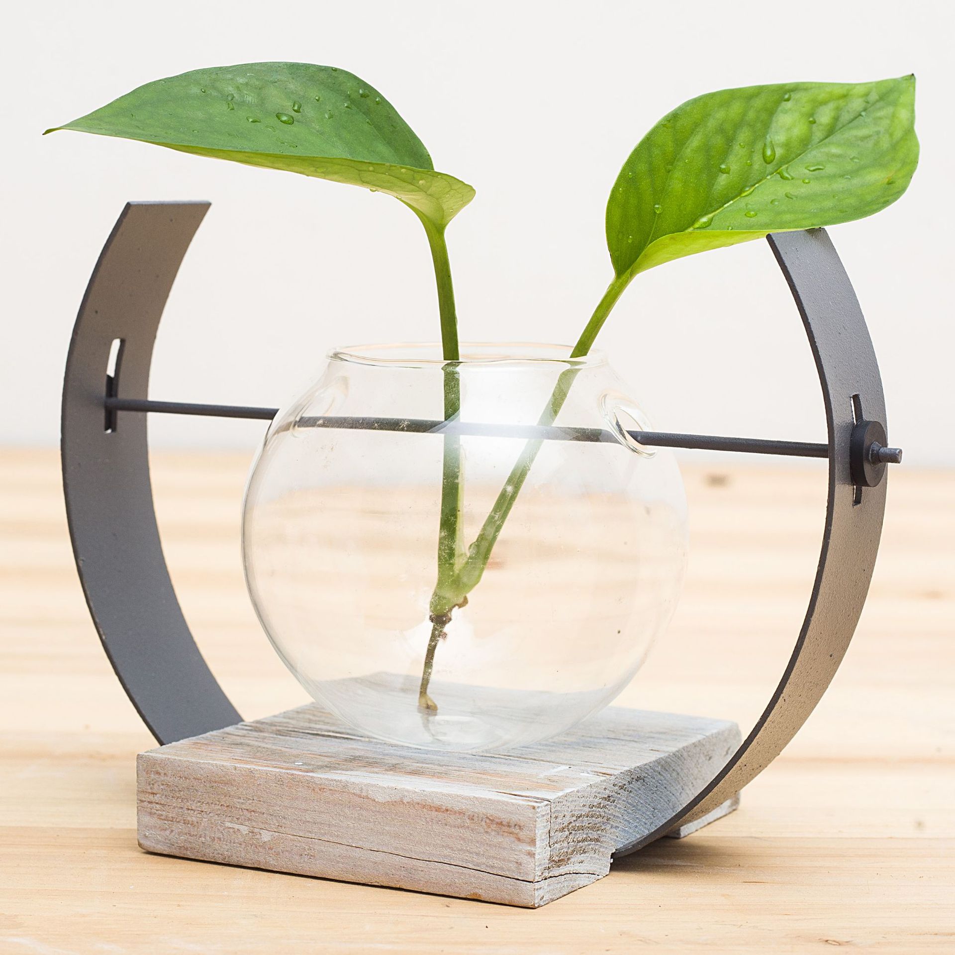 水培玻璃空瓶 办公室玻璃瓶植物花瓶园艺摆件  水培植物瓶 生态瓶