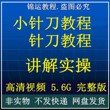 讲解教程中医手法新版疗法医学教学实操针刀视频原理小针刀