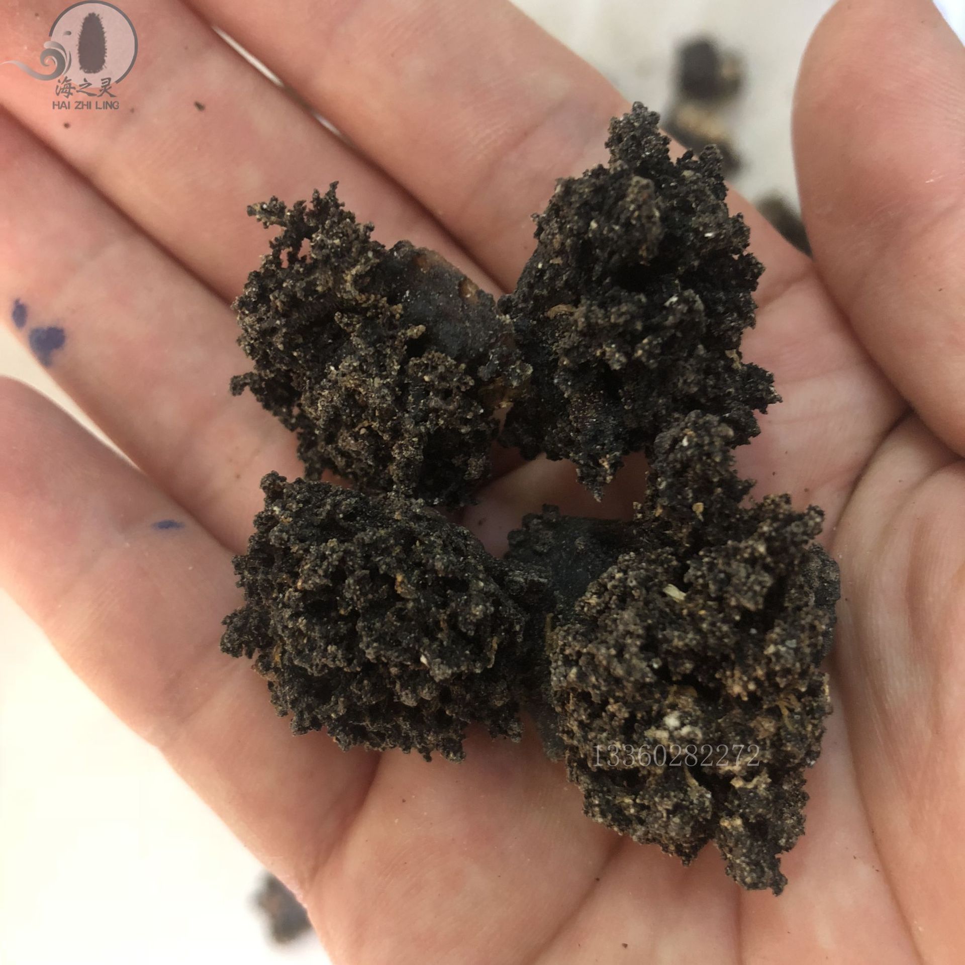 批发海参花 红极海参头 参皮头带肉 足干 酒店专供 实惠食材原料