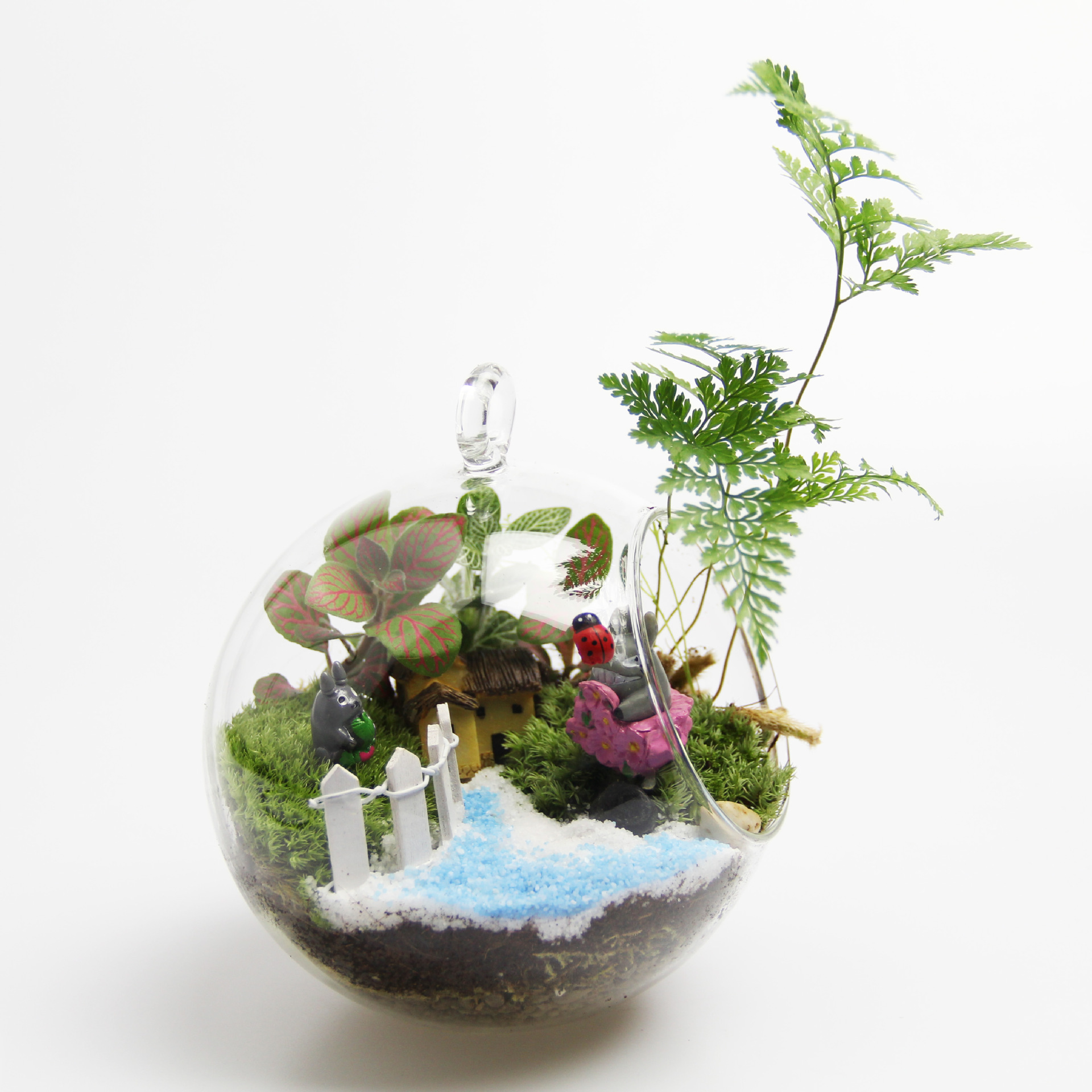 苔藓微景观套装 造景瓶材料 12cm平底吊瓶 创意礼品工艺品礼物