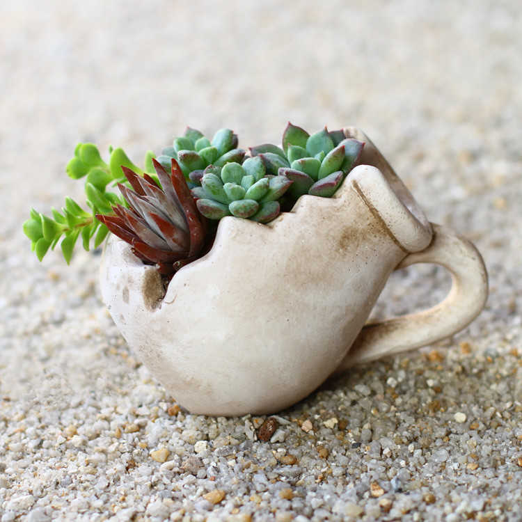 创意个性缺口红陶粗陶水泥多肉小型窗台欧式花盆菖蒲盆特价