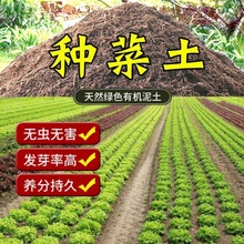 种菜土阳台种菜专用土有机菜肥花泥土透气种植土壤通用蔬菜营养土