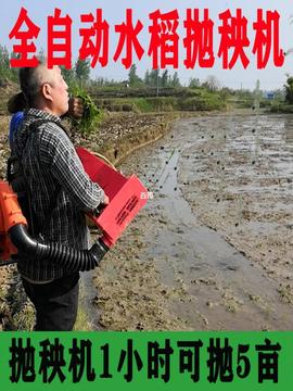 撒秧机抛秧稻田小型包邮抛秧背负式抛秧机全自动器水稻盘插秧机