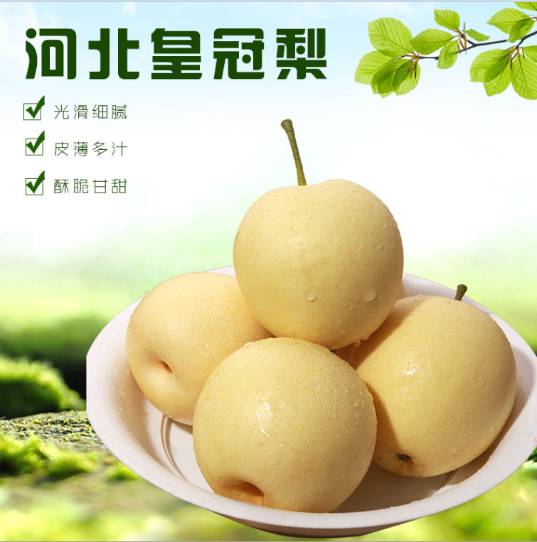 现摘河北皇冠梨梨子新鲜10斤整箱产地直销鸭梨皇冠梨雪梨时令水果