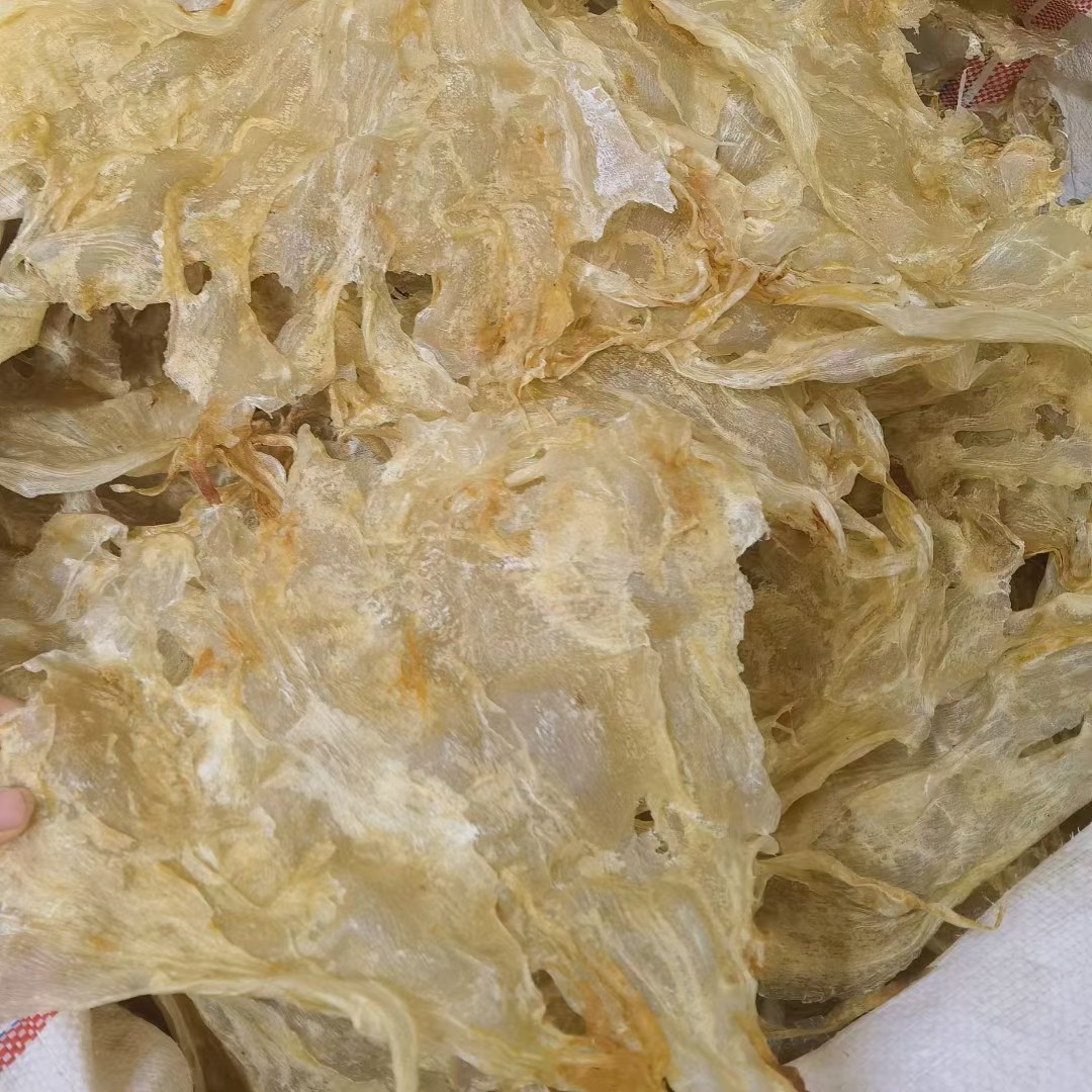 8头左右/斤鲶鱼胶巴沙胶花胶大量批发干货礼盒广州一德路渠道批发