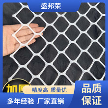 盛邦荣防盗窗网防猫大儿童封窗塑料围栏孔网网格阳台防护网防