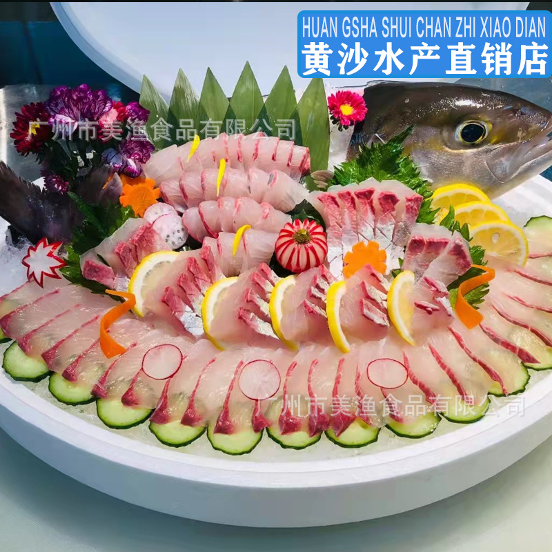 鲜活章红鱼 放血整条出南油台红甘海鱼鰤鱼刺身冰鲜鱼 2-4kg斤/条