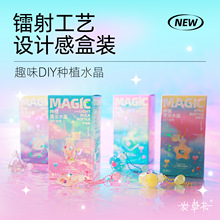 儿童种植水晶科学趣味小实验套装手工diy制作生长水晶项链挂链