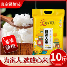 盘米当季新米10斤真空包装粳米珍珠米5kg蟹田大米