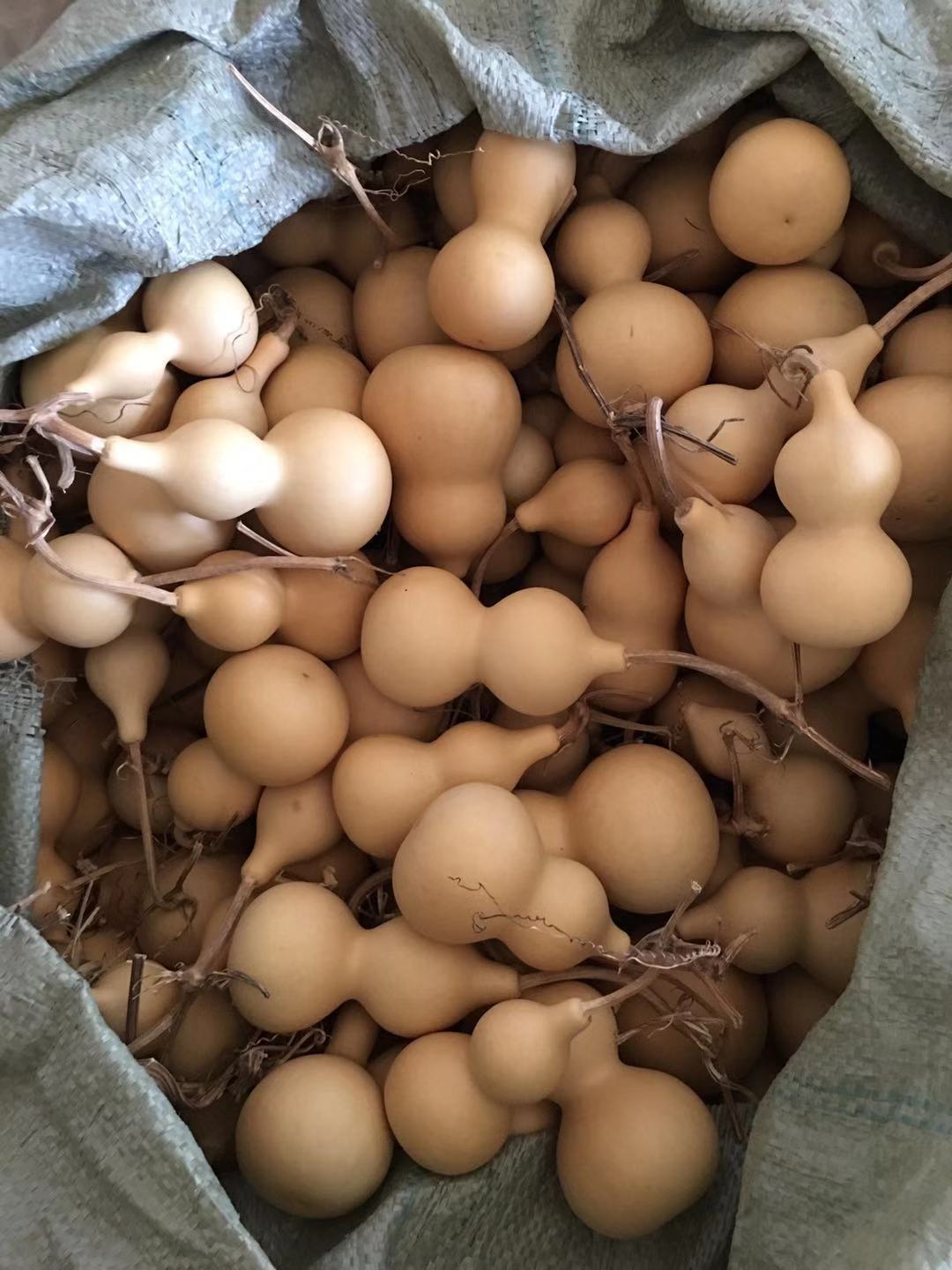 10公分葫芦-10公分葫芦厂家,品牌,图片,热帖-阿里巴巴