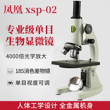 凤凰XSP-02光学显微镜小高初中生用生物教学实验科普仪器厂家批发
