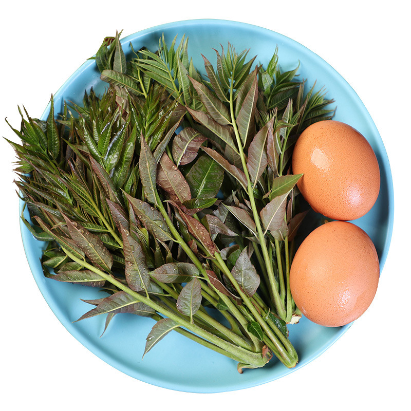 新鲜头茬香椿现摘绿香椿芽红油香椿新鲜香椿野菜蔬菜一件代发