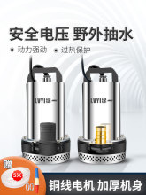 绿一农用48V直流潜水泵12V48V60V高扬程电动车家用抽水泵 水泵