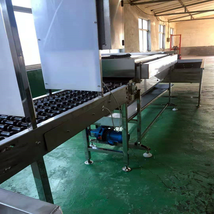 小型全自动洗蛋机轻松鸡蛋松花蛋咸鸭蛋黄泥蛋自动上蛋毛刷清洗机