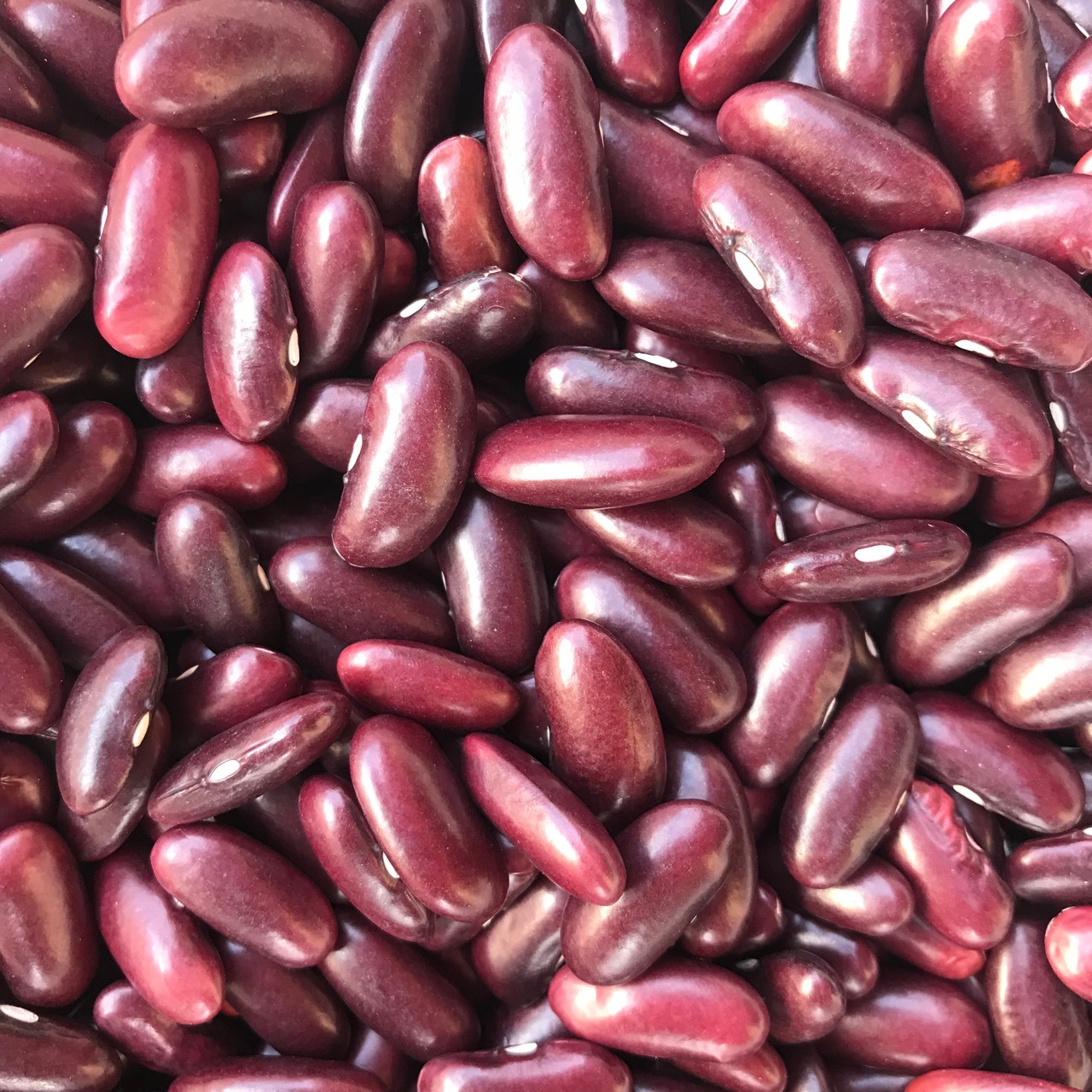 云南农家自种新货红腰豆 大红豆 红芸豆 本地红腰豆批发