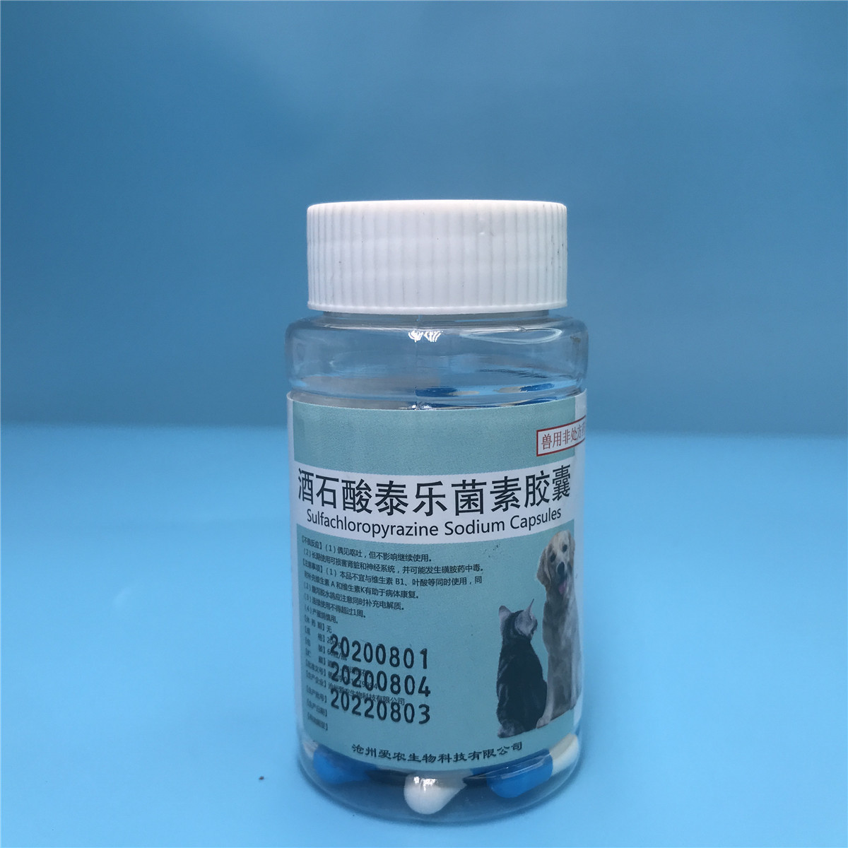 信鸽用酒石酸泰乐菌素胶囊 60粒一瓶