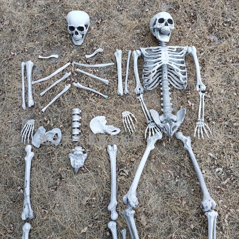 鬼屋恐怖万圣节装饰仿真骨头摆件密室逃脱骷髅骨架剧本气氛道具