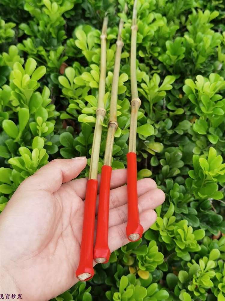尺子打人儿童竹片竹条藤条戒尺竹鞭家用传统棍子尺子鸡毛掸子锤子