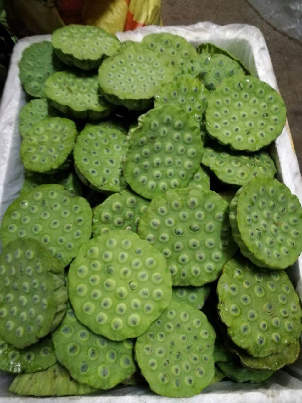 现挖浅水太空水果莲藕种裸根单瓣水养绿植种植一年收三年莲子种子