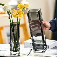 轻奢创意感原色玻璃透明花瓶客厅软装饰水养水培鲜花插花摆件