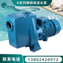 游泳池设备 大功率循环水泵 离心铁泵 水过滤循环 水仙子铁泵