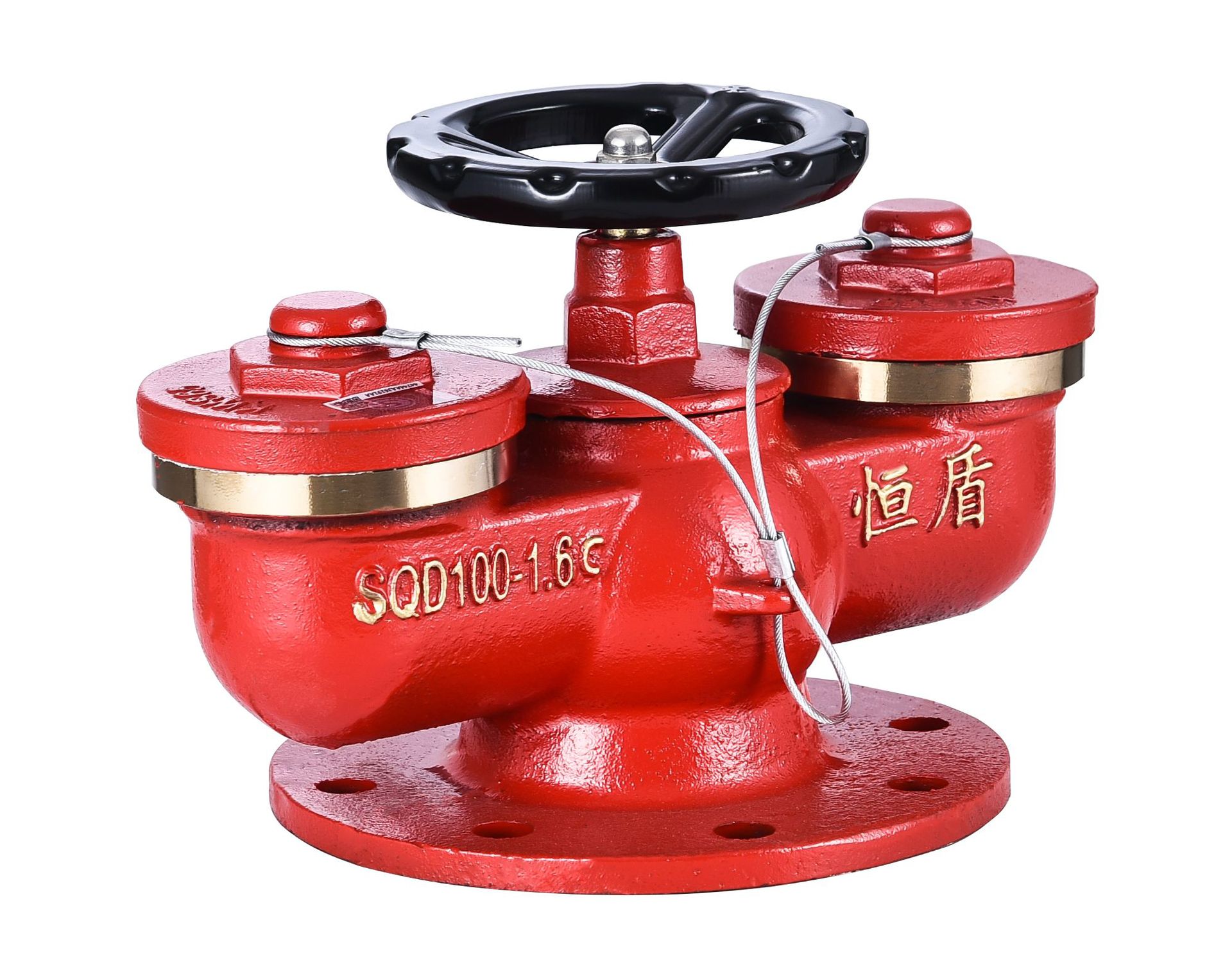 恒盾牌 多功能水泵接合器新型多用式球墨铸铁地上地下铜扣消防水