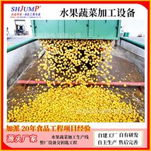 杏干加工生产线 杏酱深加工设备 杏子原浆全套深加工生产线设备
