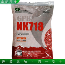 丰乐NK718玉米种子国审大田饲料玉米粘苞谷新中玉801郑单958高玉