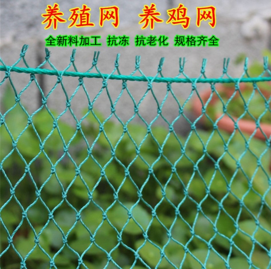批发养鸡围栏网塑料尼龙养殖网家用圈拦隔离编织网防逃合股软丝防
